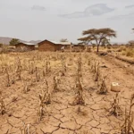 Dry farmland in Kenya during drought