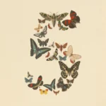 Anthropic Suspends Fable 5 and Mythos 5