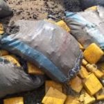 Tema Police Seize 5,039 Suspected Narcotics Parcels, Reject GH¢150,000 Bribe
