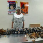 NDLEA Seizes 13kg Cocaine Hidden in Fake Plantains at Lagos Airport