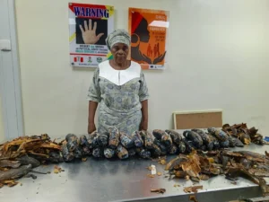 NDLEA displays cocaine packages allegedly disguised as fake plantain hands following an arrest at Lagos airport.
