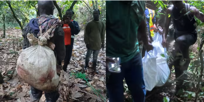 Wildlife personnel in Kakum conservation area following fatal patrol shooting