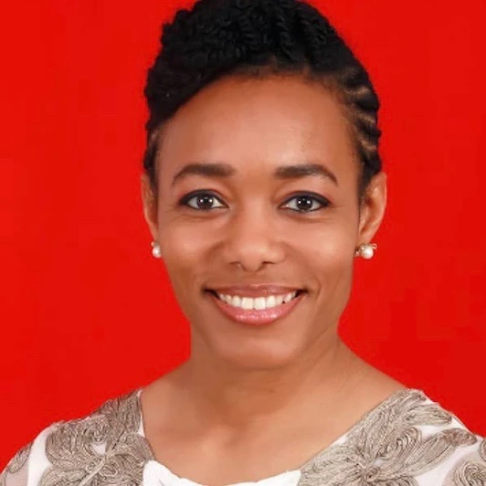 Vetting of Ayariga, Agyeman-Rawlings Rescheduled to August 27
