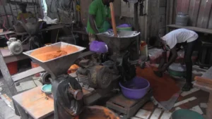 FDA Calls for Laws to Regulate Corn Milling in Ghana
