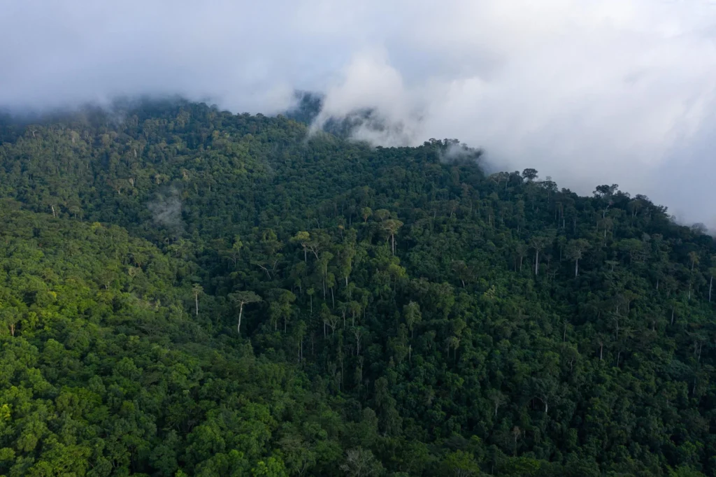 Ghana targets Atewa Forest in new anti-galamsey operation: Will Green Shield deliver lasting protection?