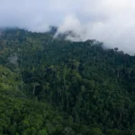 Ghana targets Atewa Forest in new anti-galamsey operation: Will Green Shield deliver lasting protection?